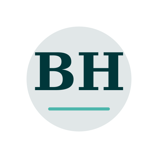 Brick Haven Chimney Service logo
